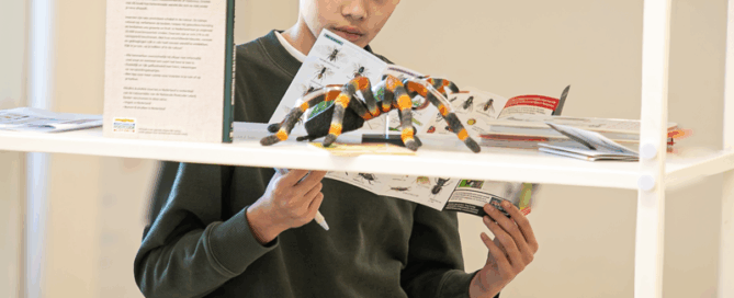 5-signalen-extra-ondersteuning800